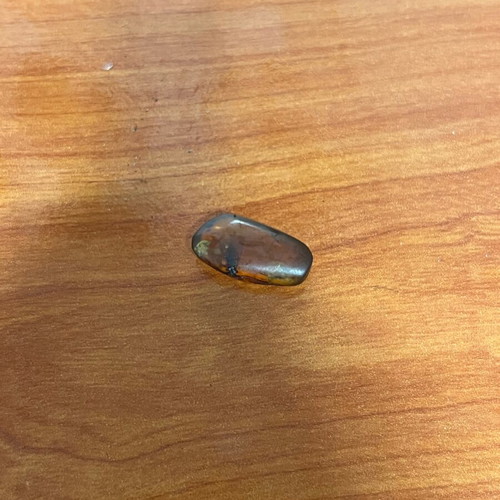 Mini amber with insect used, natural collectible 2cm