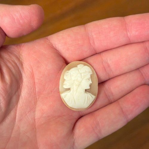 Cameo old genuine like new