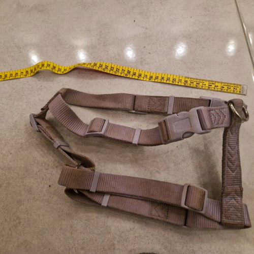 Small Dog Harness used
