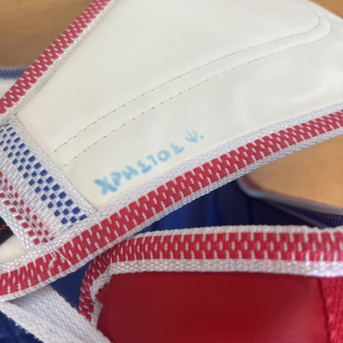 Daedo Taekwondo Chest Protector and Helmet like new