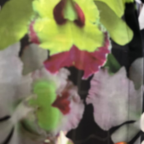 Sheer shirt like new