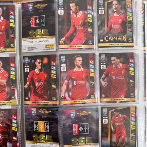 Panini Adrenalyn XL 365 2025 collector's album like new, 220 cards approx