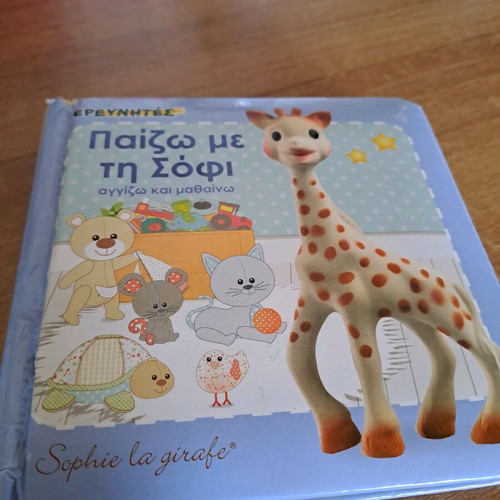 Play with Sophie used children's book