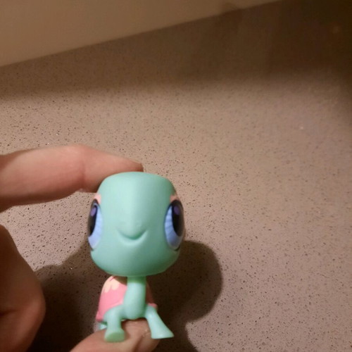 Littlest Pet Shop turtle like new