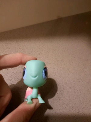 Littlest Pet Shop turtle like new
