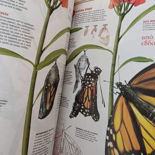 Atlas of Sciences: Invertebrates book like new