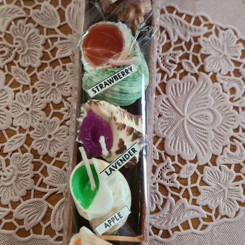 Scented candles in shell shape new