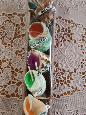 Scented candles in shell shape new