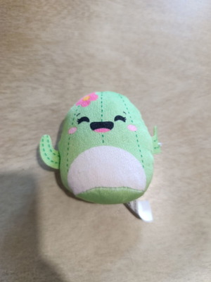 Squishmallows surprise toy cactus like new