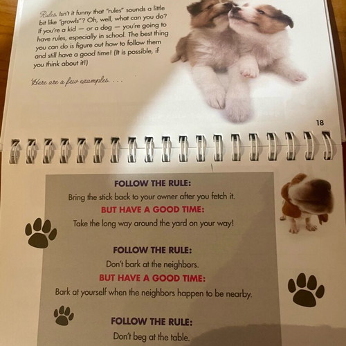 Bark to School Handbook children's book new, English