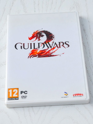 Guild Wars 2 PC used, very good condition