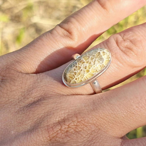 Silver ring with fossilized dinosaur bone new
