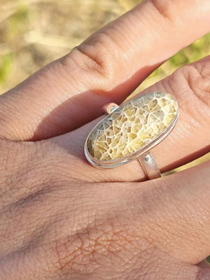 Silver ring with fossilized dinosaur bone new