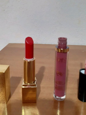 Estee Lauder lipstick and Ushas lip gloss like new