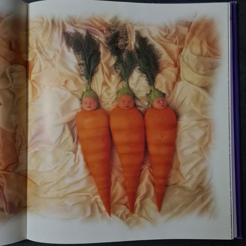 Album The Treasures of the Garden Anne Geddes used book