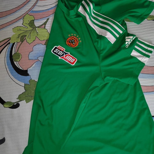 Panathinaikos Authentic Training Jersey 21/22 with Fragiskos Alvertis autograph #4, XL