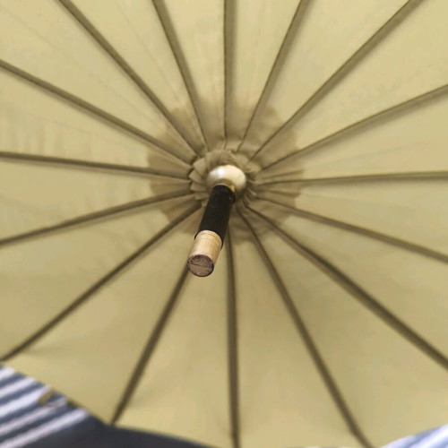 Windproof umbrella with 16 ribs, curved bone handle, automatic, green, new