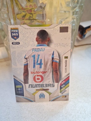 Igor Paixao Numbers Panini card 2026