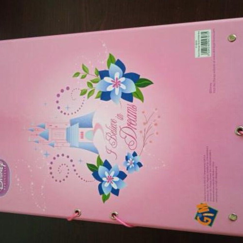 Children's folder with Disney Princess design like new