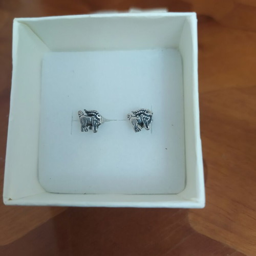 925 Silver Earrings with Zodiac Signs, New