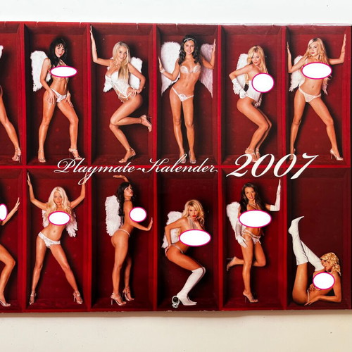 Playboy calendar 2007 used, German edition
