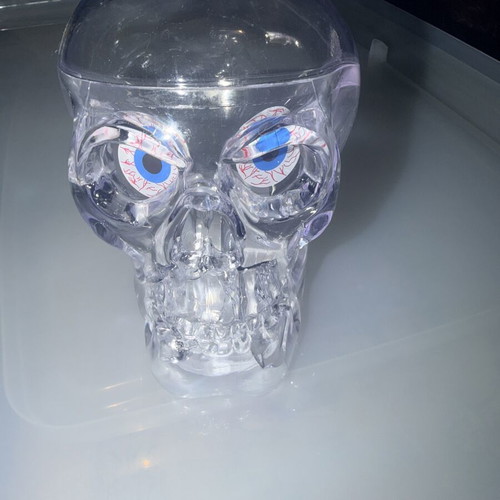 Skull Head Container like new