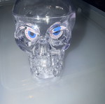 Skull Head Container like new