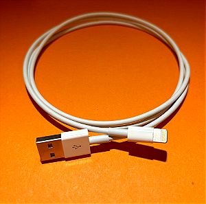 Apple Lightning to USB καλωδιο (1m)