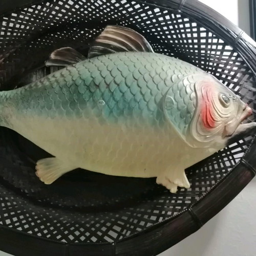Wall fish used with handmade basket decorative