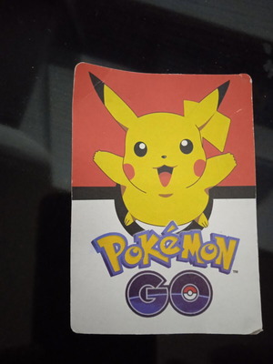 Pokemon card 2008 used