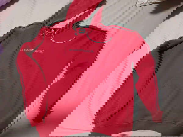 Ανδρικό αθλητικό φούτερ le coq sportif (L)