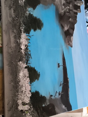 Handmade acrylic canvas new 70x60