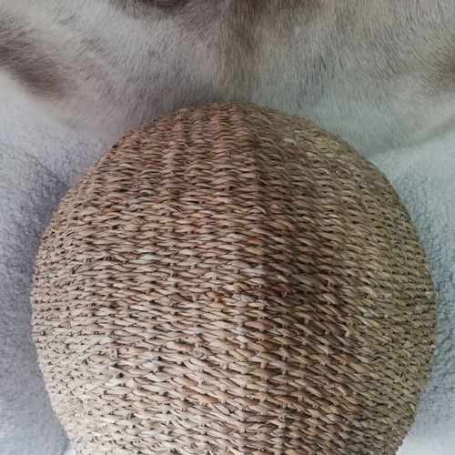 Pet bed Zara with removable white cushion, new