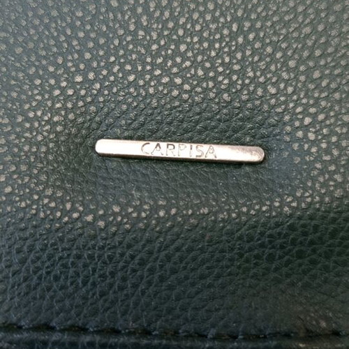 Carpisa professional bag dark green, like new