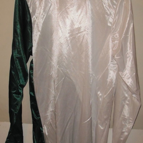 Levadiakos 2008-2009 authentic long-sleeve jersey Puma