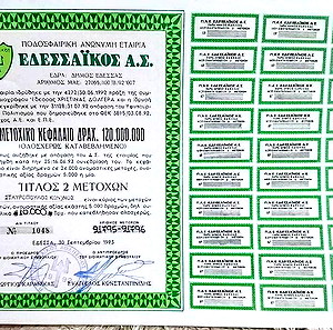 ΕΔΕΣΣΑΙΚΟΣ  ΜΕΤΟΧΕΣ