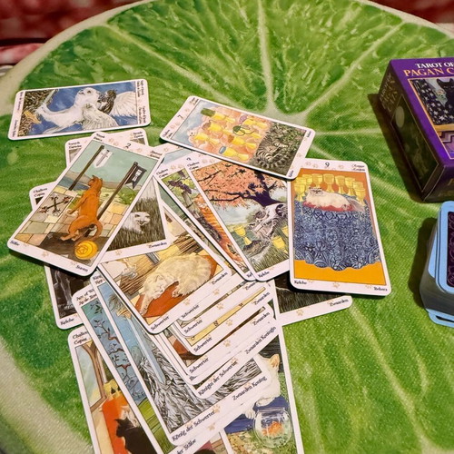 Tarot of Pagan Cats deck like new