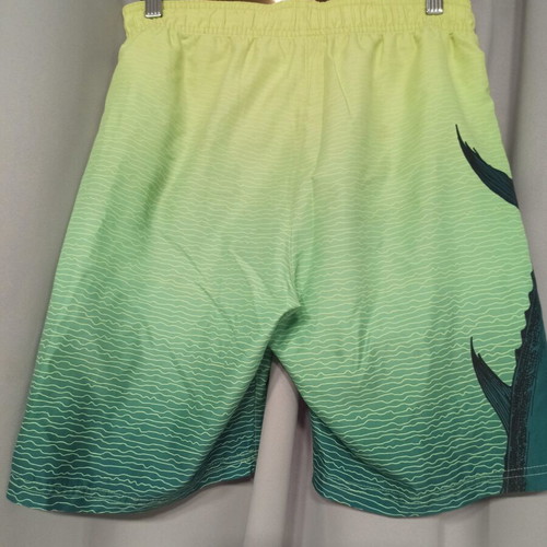 Firefly men's swim shorts size S like new, green