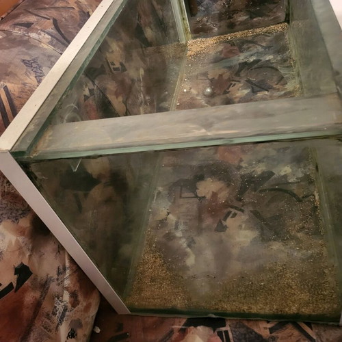 Aquarium used 270 liters with dimensions 124x46x46
