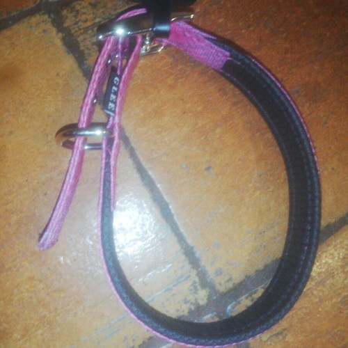 Glee dog collar pink large 25mmX61cm new