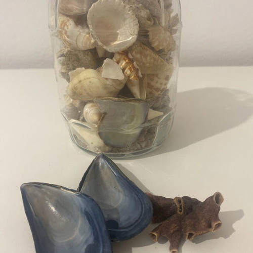 Vase with shells and coral like new for decoration