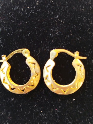 Women's gold-plated hoop earrings new