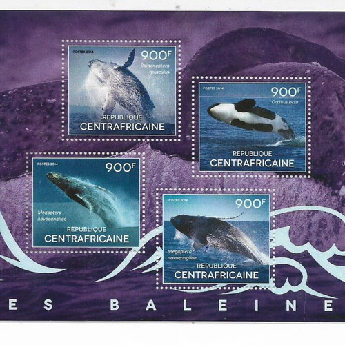 Central African Republic 2014 Whale Stamp New Collectible