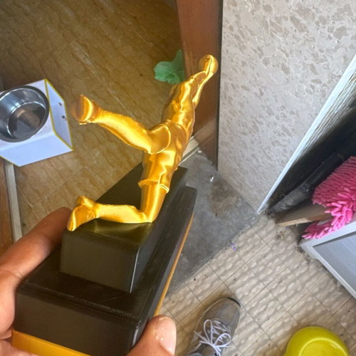 Best goalkeeper award like new