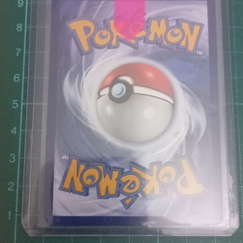 Morpeko V 095 Pokemon card new