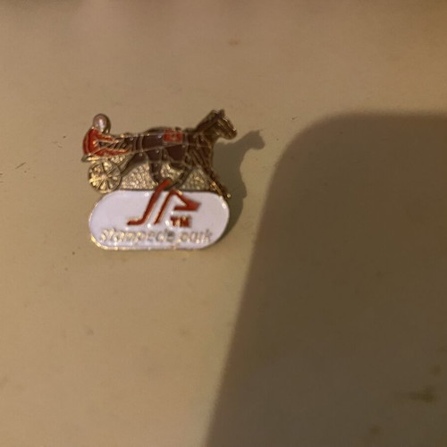 Vintage Stampede Park Pin from Canada, harness racing design, like new