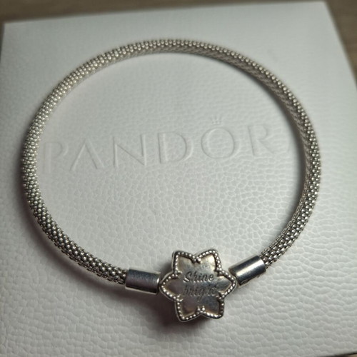 Pandora snowflake charm bracelet 18 cm, silver, zirconia
