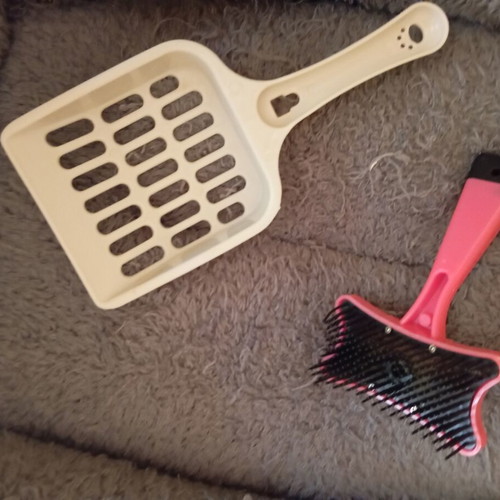 Pet bed, feeder, scoop and brush used set