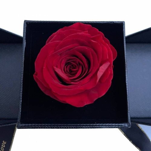 Forever Rose red with jewelry case in luxury box new