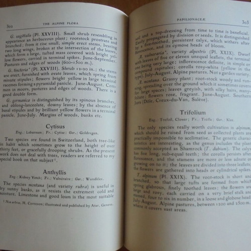 The Alpine Flora book used about Alpine flora